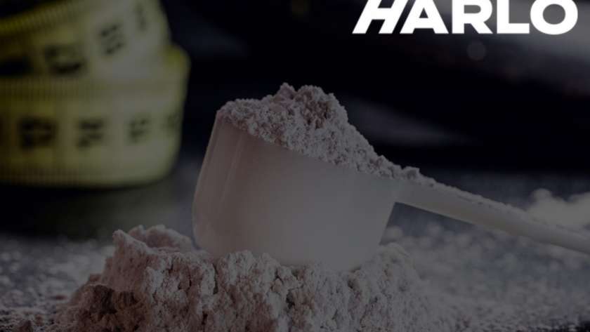 Drink Harlo Logo